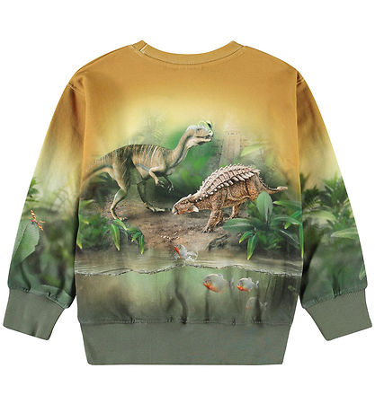 Molo Peysa - Mattis - Forest Dinos