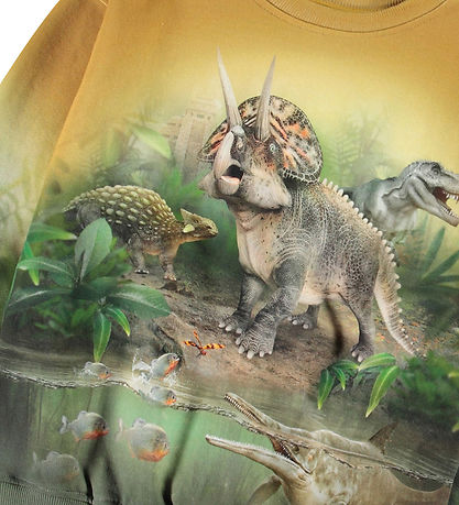 Molo Peysa - Mattis - Forest Dinos