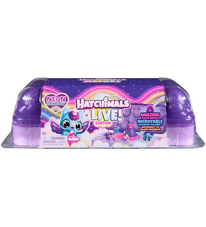 Hatchimals Toys - Alive Neon Rainbow Carton