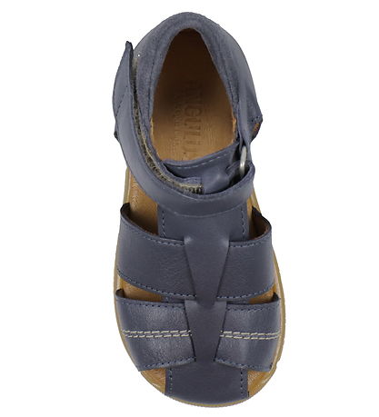 Angulus Sandalar - Indigo