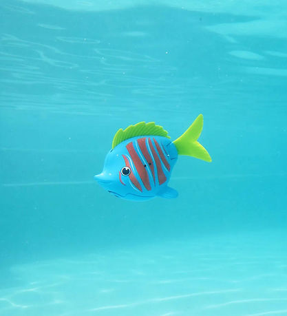 Sundbrautir Baðleikföng - Rainbow Reef - Guppie Goldberg