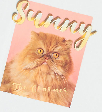 Molo Stuttermabolur - Riley - Sunny