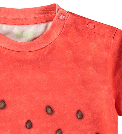 Molo T-shirt - Enzo - Be a Melon
