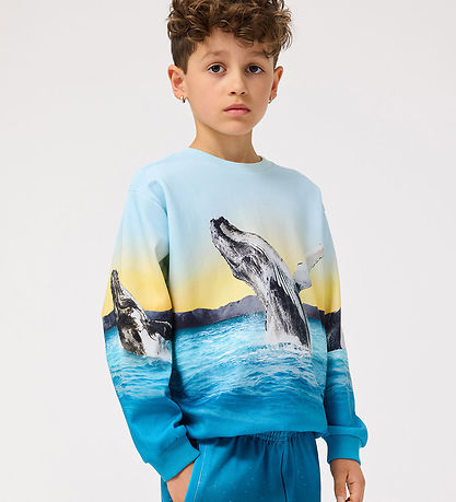 Molo Sweatshirt - Mix - Whale Jump