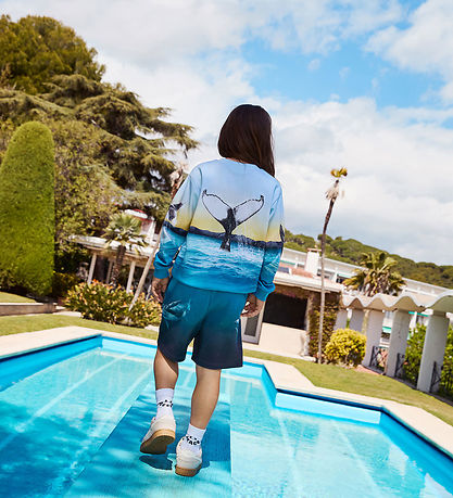 Molo Sweatshirt - Mix - Whale Jump
