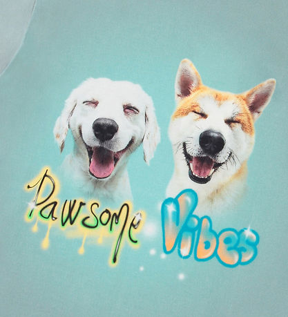 Molo Stuttermabolur - Rame - Pawsome Vibes