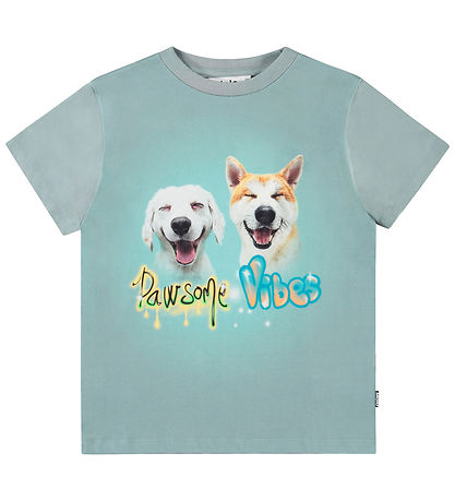 Molo Stuttermabolur - Rame - Pawsome Vibes