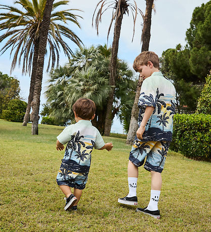 Molo Shorts - Solar - Palm Baby-Nanas