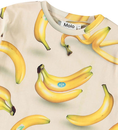 Molo Stuttermabolur - Riley - Bananar