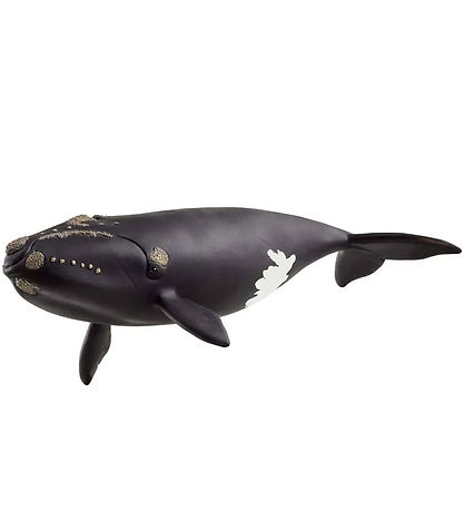 Schleich Wild Life - Høyrehval - 19,5 cm - 14878