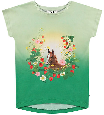 Molo T-shirt - Ragnhilde - Beauty