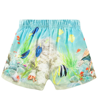 Molo Swim Shorts - UV50+ - Newton - Happy Ocean