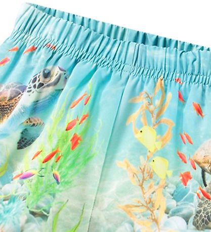 Molo Swim Shorts - UV50+ - Newton - Happy Ocean
