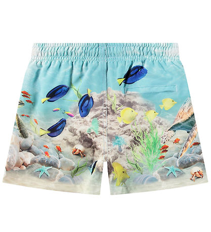 Molo Swim Shorts - UV50+ - Niko - Happy Ocean