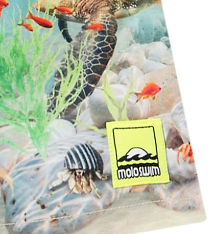 Molo Swim Shorts - UV50+ - Niko - Happy Ocean