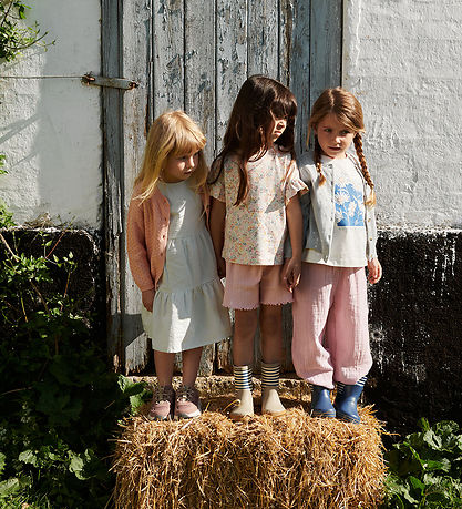 Wheat Shorts - Ina - Rose Sprinkle