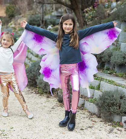 Great Pretenders Costume - Butterfly - Ombre