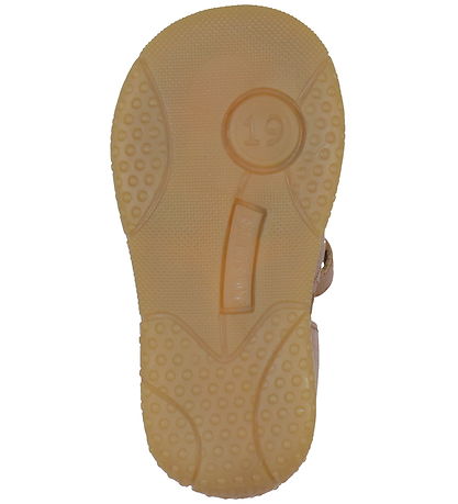 Angulus Sandalar - Koníak