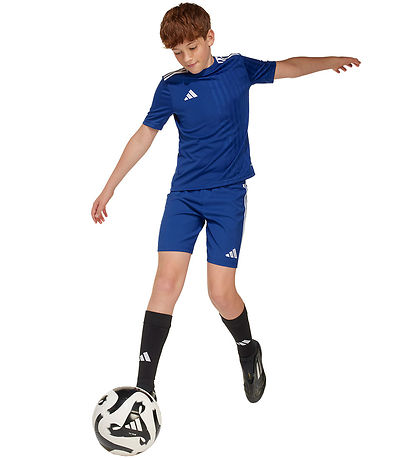adidas Performance Stuttermabolur - Campeon25 - Royal Blue/Hvítu
