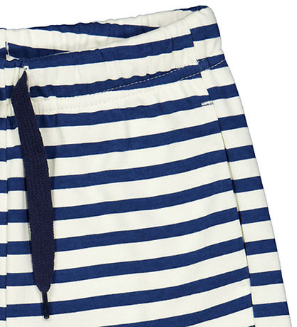 Freds World Shorts - Mandel/Navy