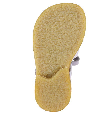 Angulus Sandalar - Blóm - Lilac