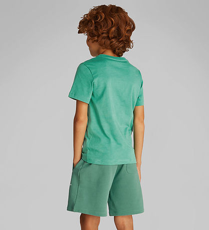 T-Shirt Calvin Klein - Coffre Surf Graphique - Bahama Green