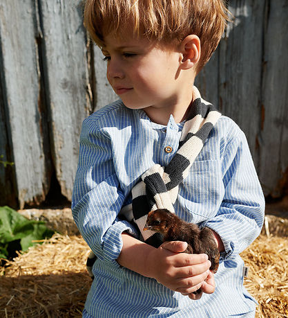 Wheat Overhemd - Berk - Blue Stripe