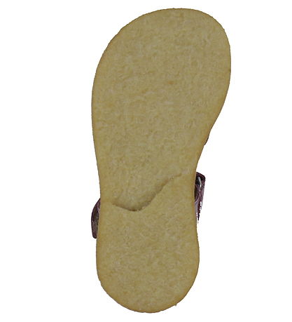 Angulus Sandalar - Berry M. Blóm