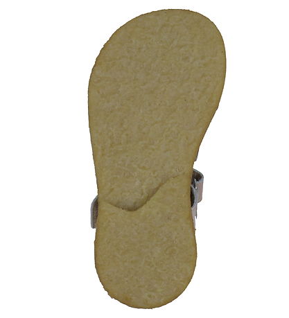Angulus Sandalar - Rosebud M. Blóm