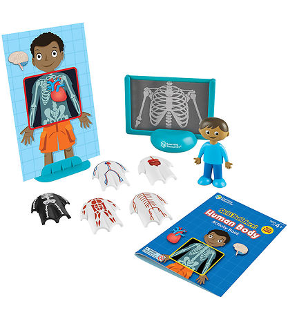 Learning Resources Activity Toy - Learn About Body - 17 Parts
