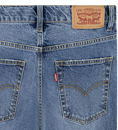 Levis Jeans - Loose Loser Stretch - Dig It