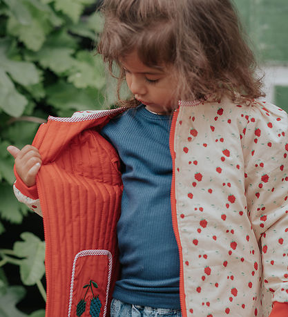 Fliink Jacket - Reversible - Kota Berry - Pompeian Red AOP