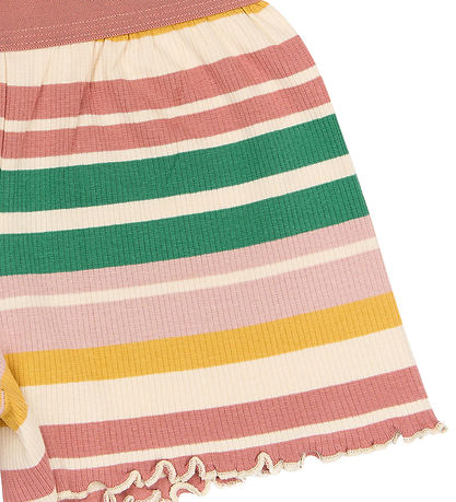 The New Shorts - TNOhara - Rib - Multi Striped