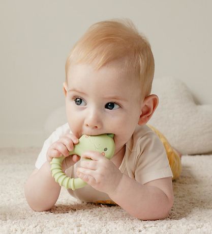 Tiger Tribe Teether - Silicone - Dino