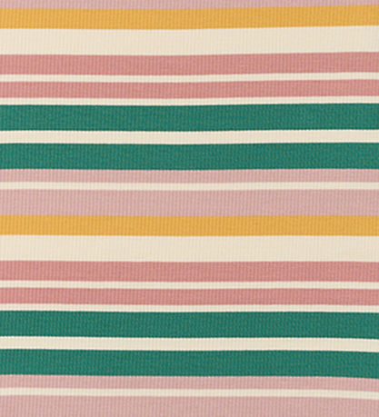 The New Kleid - TnOhara - Rib - Multi Striped