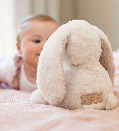 Teddykompaniet Soft Toy - Rabbit - 25 cm
