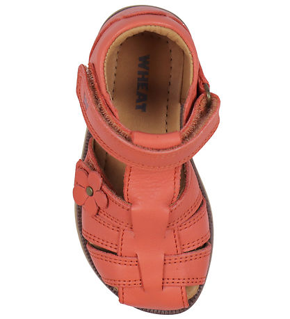 Wheat Sandalar - Sky - Coral