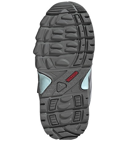 adidas Performance Shoes - TERREX SKYCHASER MI - AURPLU/GLOGRY/S