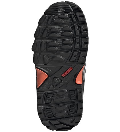 adidas Performance Shoes - TERREX SKYCHASER MI - SHANAV/GRETHR/S