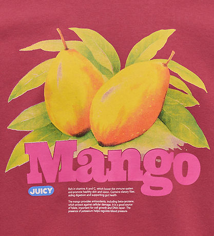 Kids Only Sweatshirt - KonPhilea - Aarde Rood/Mango