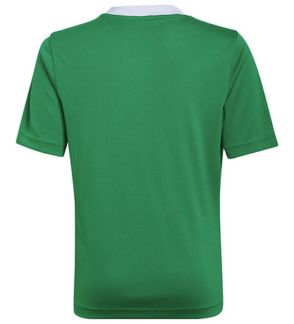 adidas Performance T-shirt - ENT22 - Teagreen/White