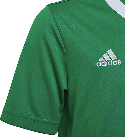 adidas Performance T-shirt - ENT22 - Teagreen/White