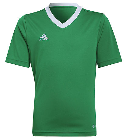 adidas Performance T-shirt - ENT22 - Teagreen/White