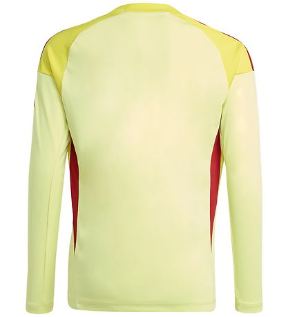 adidas Performance Fußballtrikot - AFC H GK - PULYEL/TEPORE