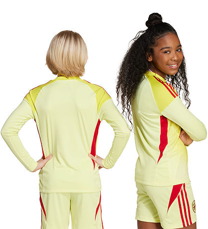 adidas Performance Fußballtrikot - AFC H GK - PULYEL/TEPORE