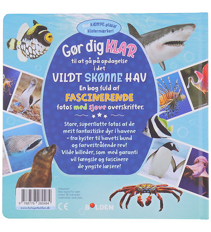 Forlaget Bolden Bilderbok - Vilt vacker Hav