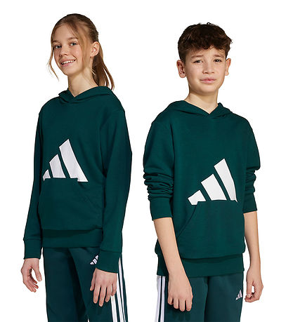 adidas Performance Hoodie - J BL FT HD - Aurivy/White
