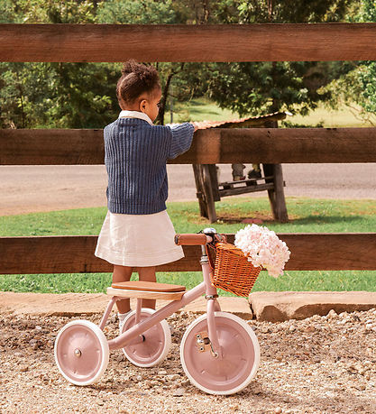 Banwood Dreirad - Trike - 3-6 Jahre - Dustypink