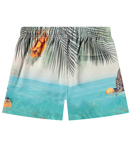 Molo Swim Shorts - UV50+ - Niko - Leo On Surf