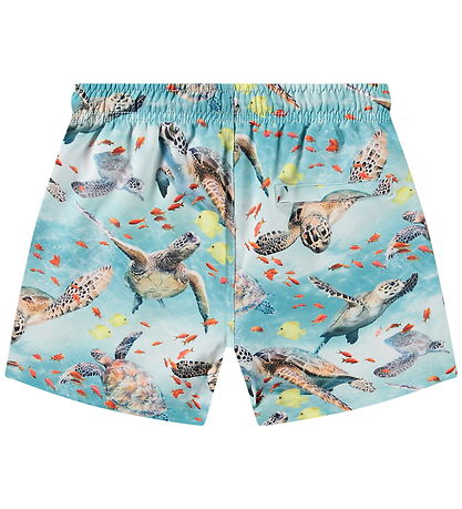 Molo Swim Shorts - UV50+ - Niko - Marine Turtles